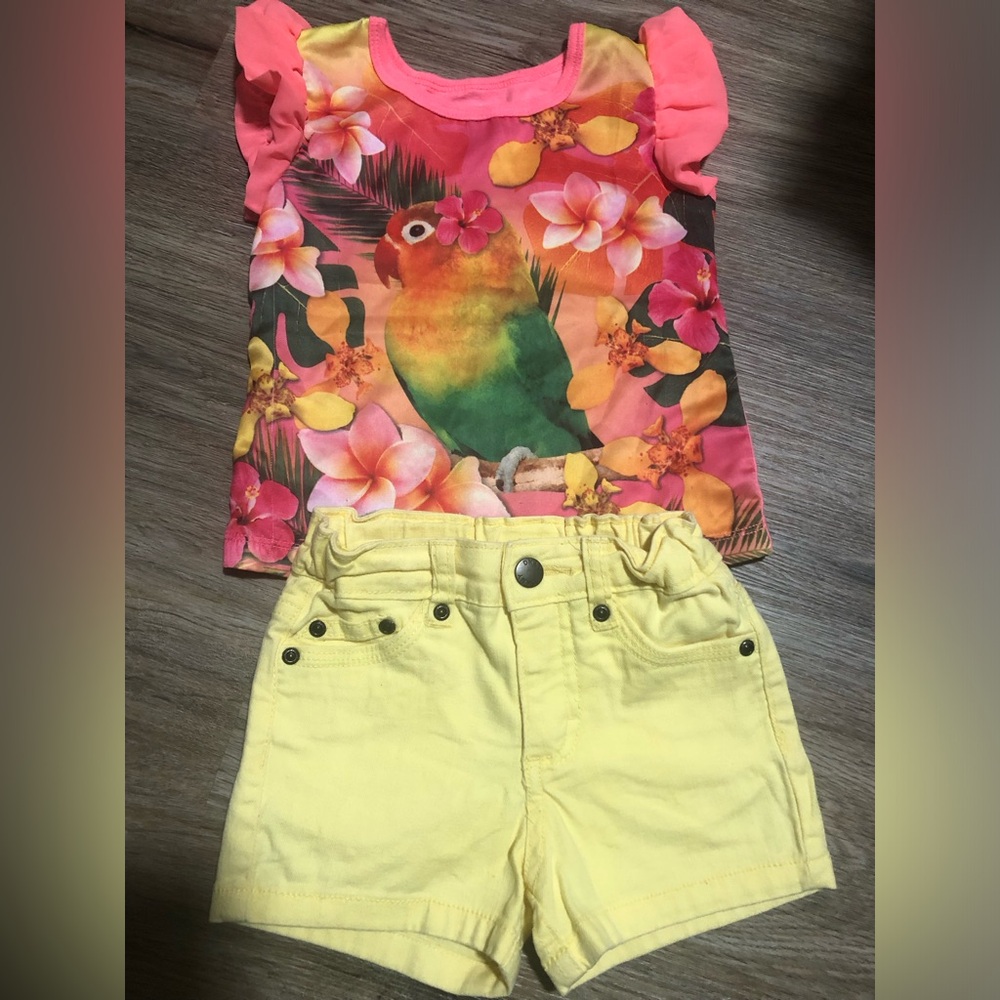 Yellow tropics set